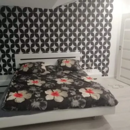 Przestronny Wysoki Standard * Ruda Slaska