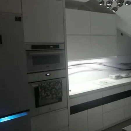 Przestronny Wysoki Standard Apartamento Ruda Slaska